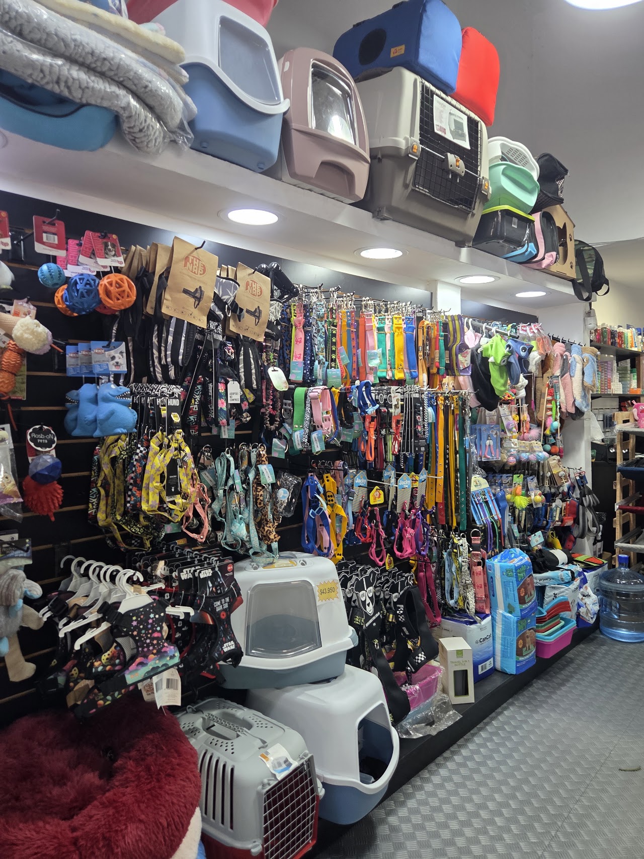 Accesorios en Milano Pet's